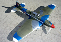 IL-2M  - Click for more info